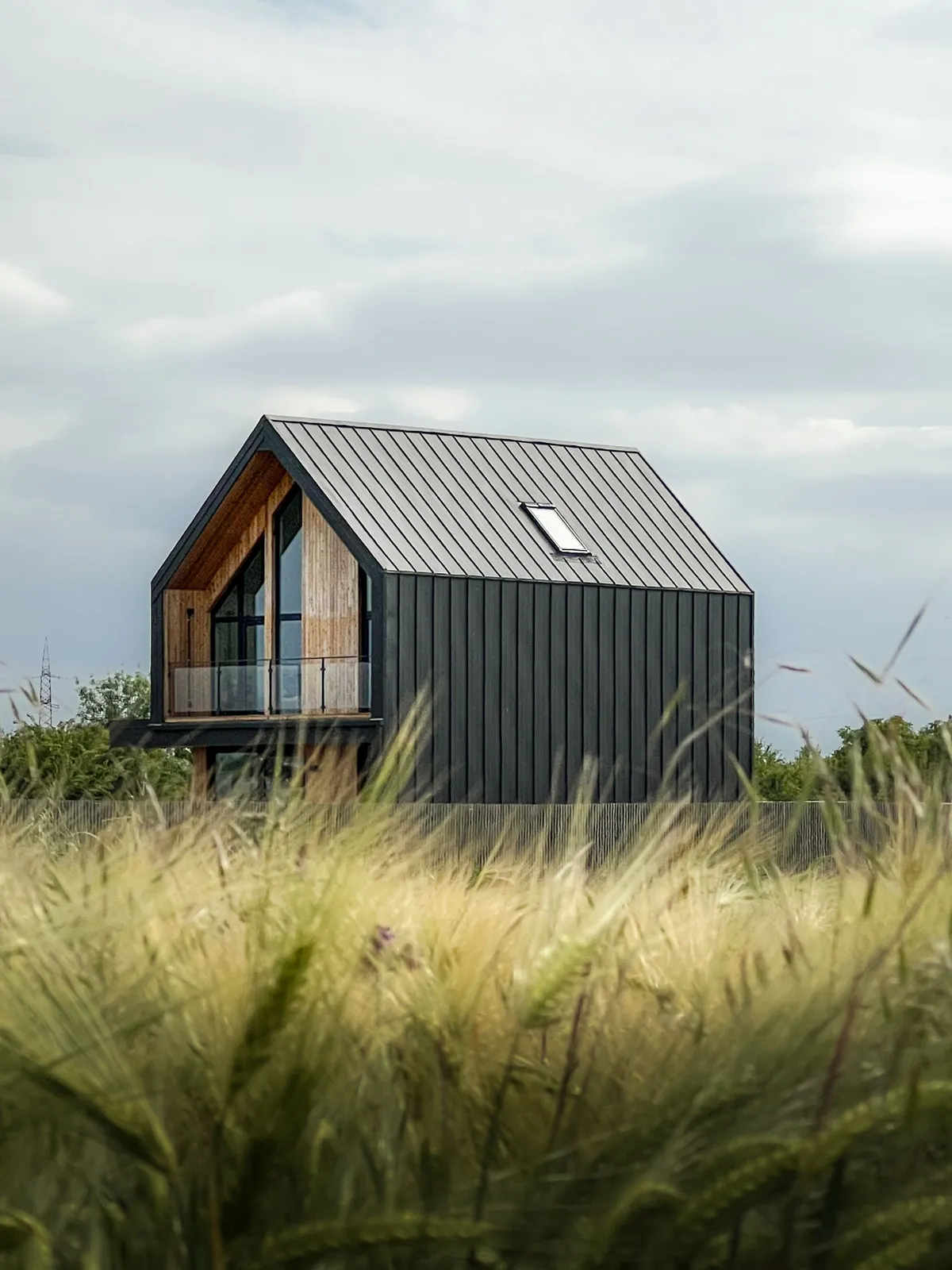 Contemporary A-frame home with a dark standing-seam metal roof in an open field